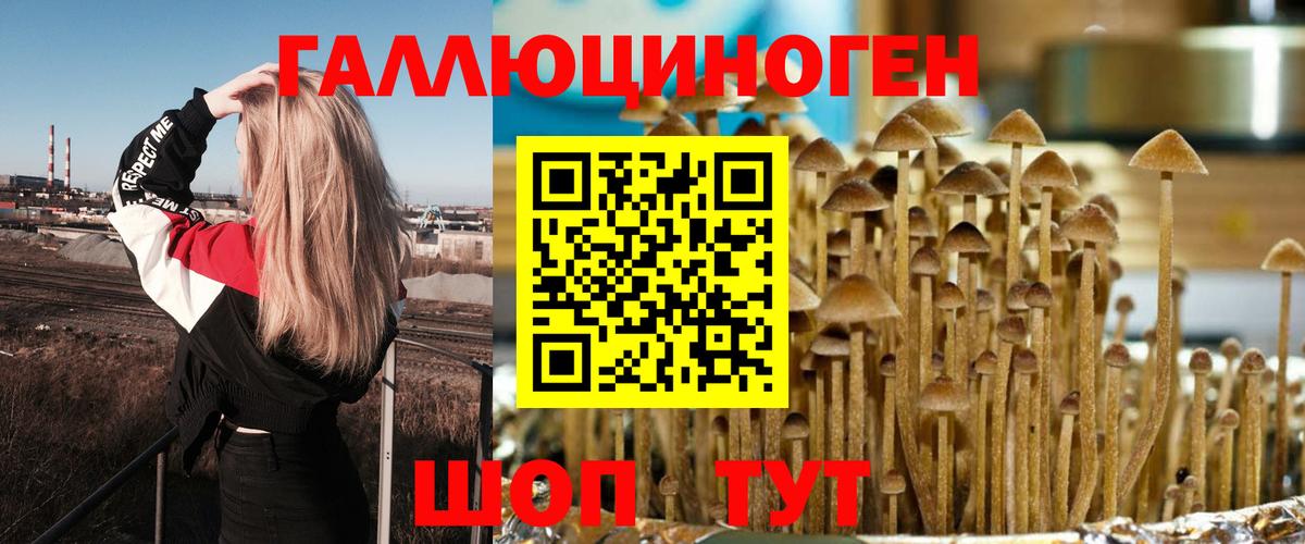 Галлюциногенные грибы MAGIC MUSHROOMS  Вход с VPN  Галлюциногенные грибы мухоморы  Кудрово 