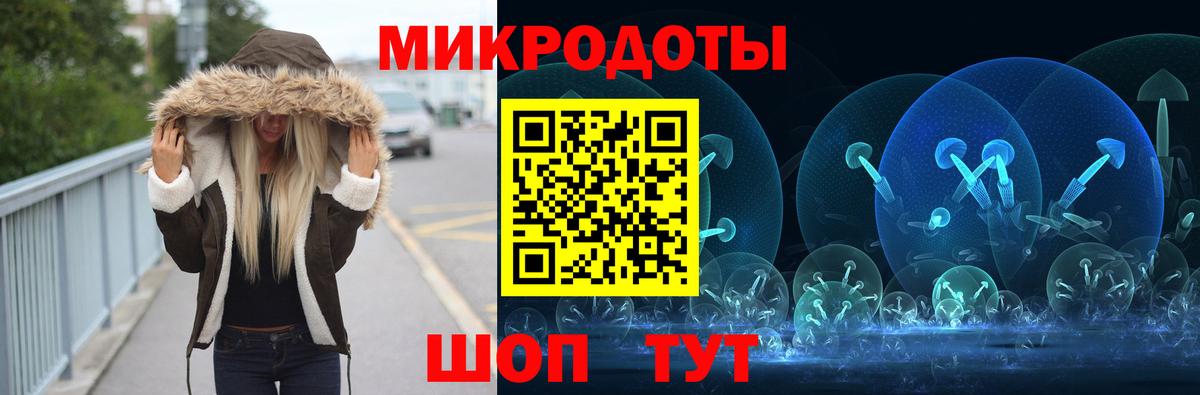 Псилоцибиновые грибы Psilocybine cubensis Кудрово